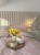image00001.jpeg